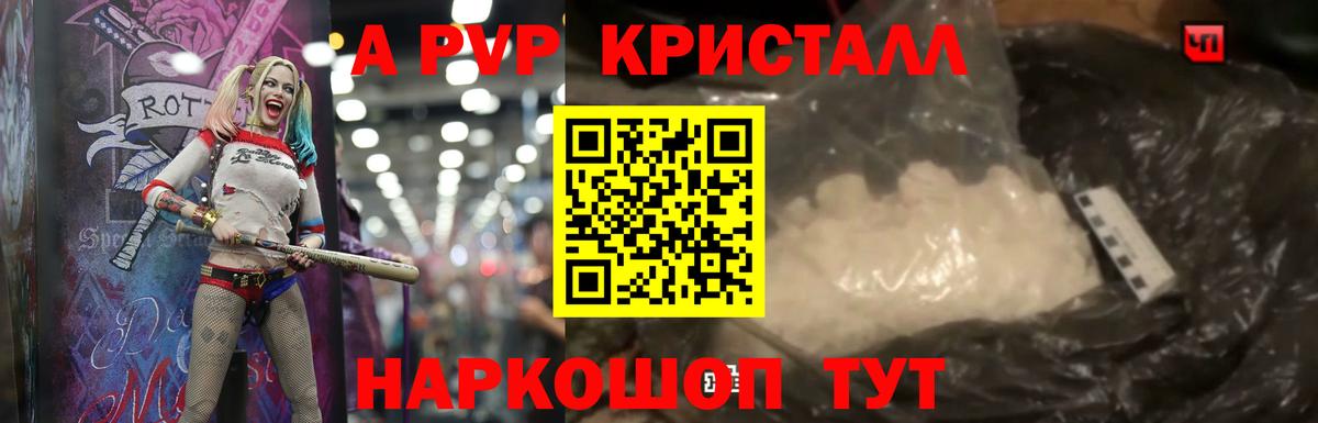Геленджик  А ПВП крисы CK  APVP СК КРИС  Вход с VPN  Alpha PVP СК КРИС 
