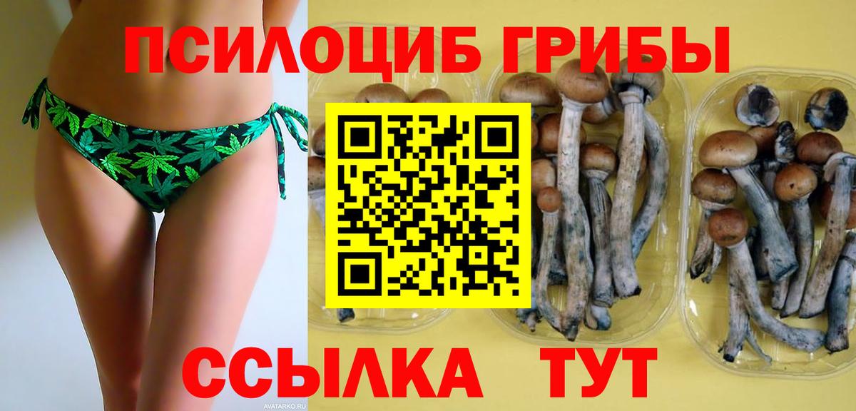Псилоцибиновые грибы MAGIC MUSHROOMS Геленджик